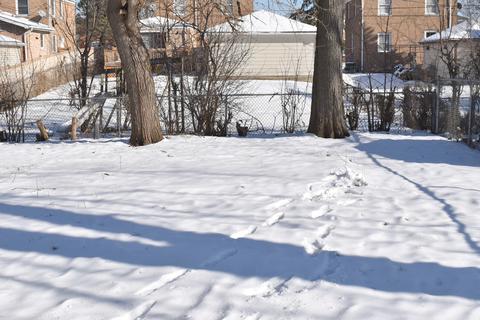 29 Howard Ave, Hillside, IL 60162 photo 6