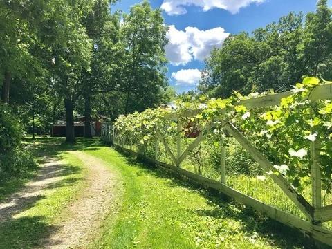 20307 Streit Rd, Harvard, IL 60033 photo 31
