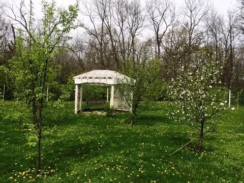 20307 Streit Rd, Harvard, IL 60033 photo 30