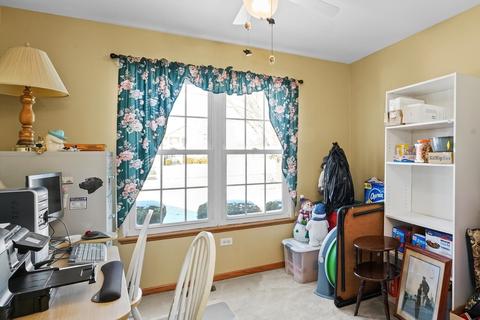 4507 W Jonquil Ln, Monee, IL 60449 photo 11