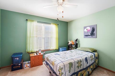 4507 W Jonquil Ln, Monee, IL 60449 photo 10