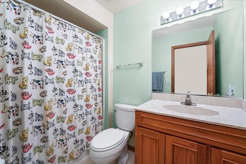 4507 W Jonquil Ln, Monee, IL 60449 photo 12