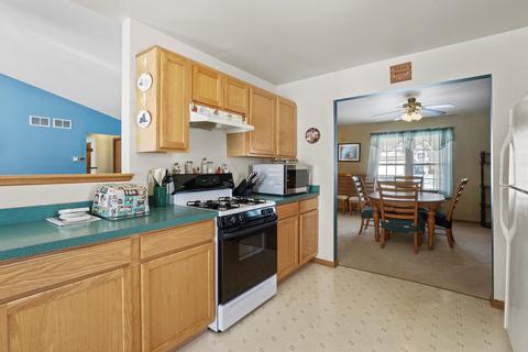 4507 W Jonquil Ln, Monee, IL 60449 photo 6