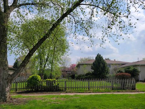 1583 S Prospect St, Wheaton, IL 60189 photo 7