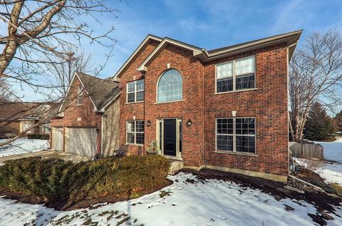 13129 Brooklands Ln, Plainfield, IL 60585 photo 3