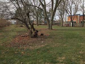 1515 N Main St, Normal, IL 61761 photo 2