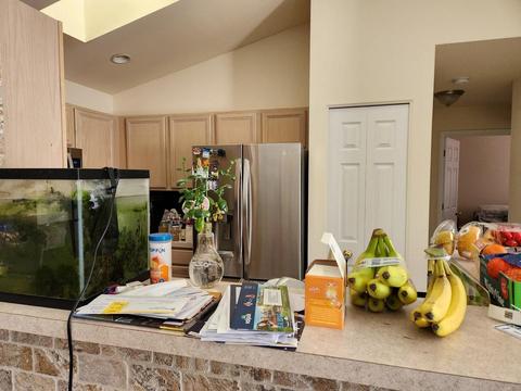 670 Mill Cir #305, Wheeling, IL 60090 photo 8
