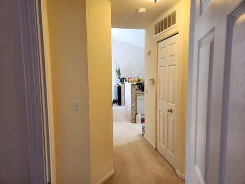 670 Mill Cir #305, Wheeling, IL 60090 photo 10