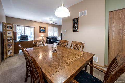25919 Derby Dr, Monee, IL 60449 photo 5