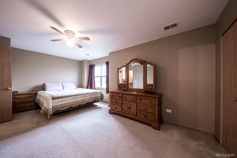 25919 Derby Dr, Monee, IL 60449 photo 11