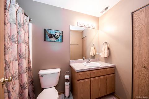 25919 Derby Dr, Monee, IL 60449 photo 13