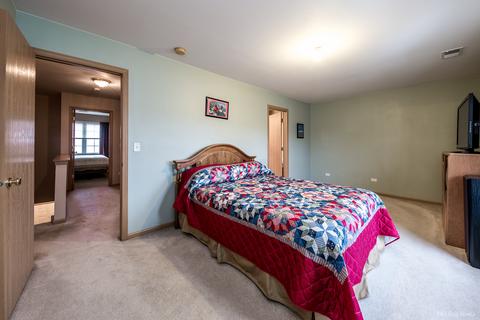 25919 Derby Dr, Monee, IL 60449 photo 15