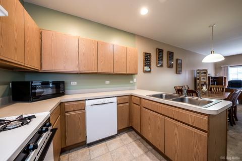 25919 Derby Dr, Monee, IL 60449 photo 3