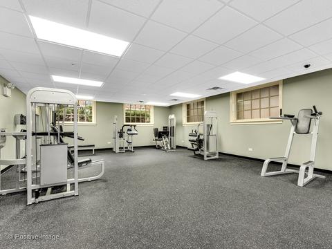 323 E Liberty Dr, Wheaton, IL 60187 photo 39