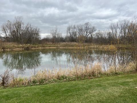 28792 Pilgrims Pass, Lakemoor, IL 60051 photo 20