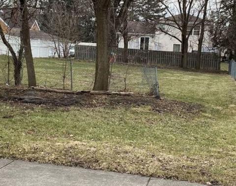 3620 Green St, Steger, IL 60475