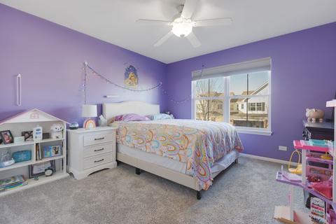 3165 Pearl St, Elgin, IL 60124 photo 17