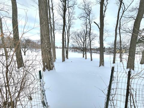 102 S Porter St, Elgin, IL 60120 photo 28