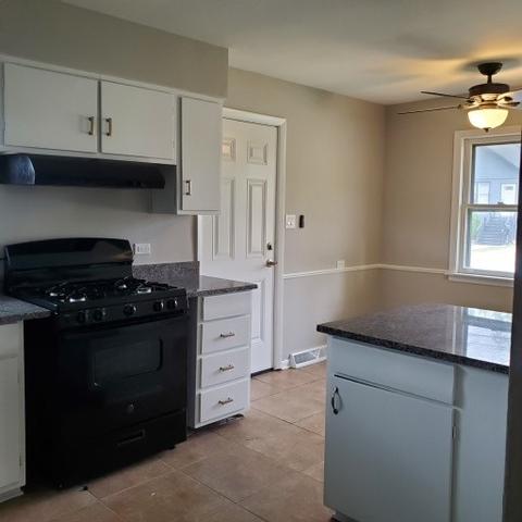 5911 Burr Oak Ave, Berkeley, IL 60163 photo 5