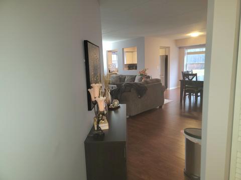 237 N Mill Rd #3, Addison, IL 60101 photo 18