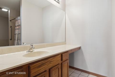 21291 Silktree Cir, Plainfield, IL 60544 photo 14