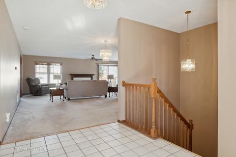 21291 Silktree Cir, Plainfield, IL 60544 photo 3