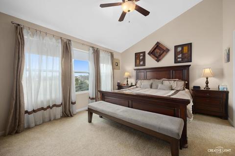 24208 Champion Dr, Plainfield, IL 60585 photo 14