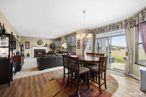 24208 Champion Dr, Plainfield, IL 60585 photo 10