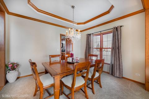 6 Clover Ct, Algonquin, IL 60102 photo 11