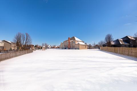 6 Clover Ct, Algonquin, IL 60102 photo 29