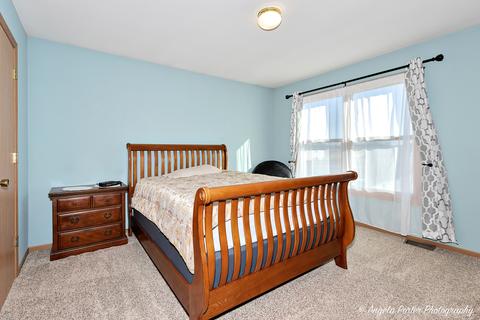 1421 9th St, Harvard, IL 60033 photo 19