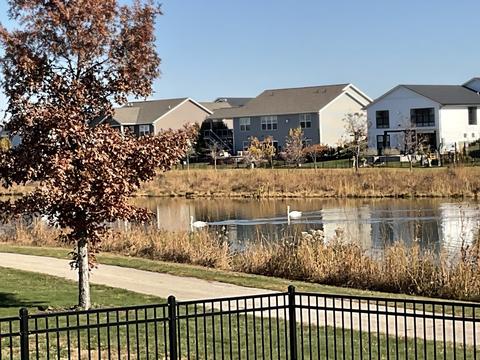 1116 Hershey Rd, Normal, IL 61761 photo 42