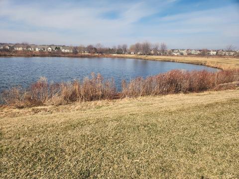 2537 Edgewater Dr, Elgin, IL 60124 photo 43