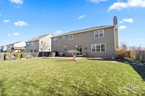 13630 Marigold Rd, Plainfield, IL 60544 photo 31