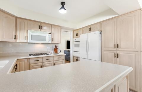 8100 W Gregory St, Chicago, IL 60656 photo 8