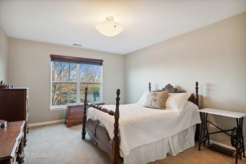3890 Seigle Dr, Elgin, IL 60124 photo 18