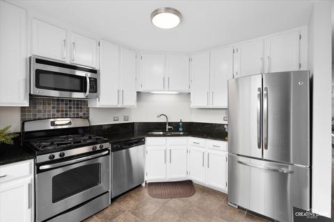 206 E Parallel St #206, Palatine, IL 60067 photo 12
