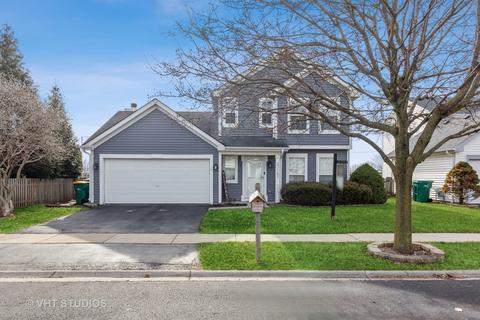 21151 W Covington Dr, Plainfield, IL 60544 photo 1