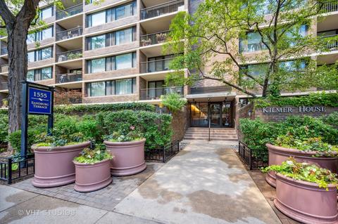 1555 N Sandburg Ter #602, Chicago, IL 60610