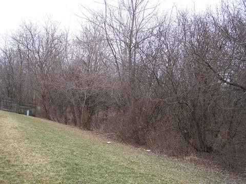 4511 Greendale Ct, Mchenry, IL 60050 photo 35