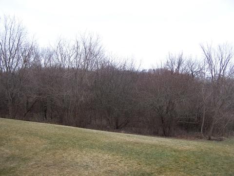 4511 Greendale Ct, Mchenry, IL 60050 photo 34