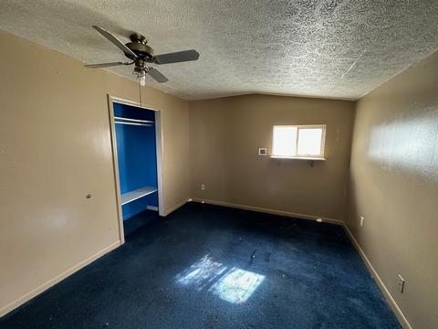 503 E Prairie St, Odell, IL 60460 photo 22