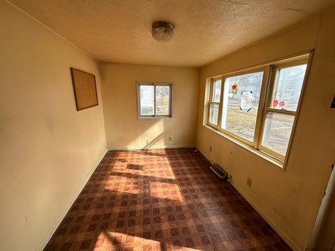 503 E Prairie St, Odell, IL 60460 photo 3