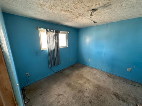 503 E Prairie St, Odell, IL 60460 photo 18