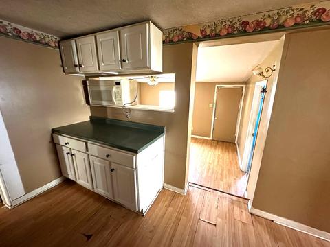 503 E Prairie St, Odell, IL 60460 photo 12