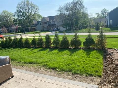 1180 W Thomas Rd, Wheaton, IL 60187 photo 37