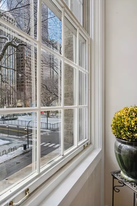 200 E Pearson St #3E, Chicago, IL 60611 photo 25