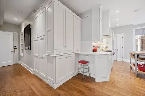200 E Pearson St #3E, Chicago, IL 60611 photo 19
