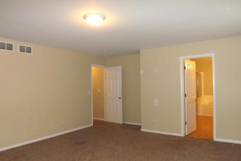 1315 Bridgehampton Dr, Plainfield, IL 60586 photo 10