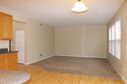 1315 Bridgehampton Dr, Plainfield, IL 60586 photo 8
